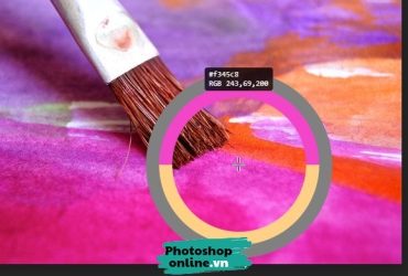 Cách lấy mã màu từ ảnh trong Photoshop online
