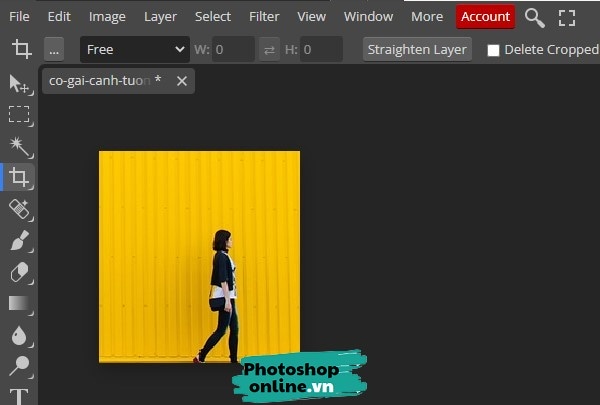 Cách Thu Nhỏ Ảnh Trong Photoshop Online | Pts Online