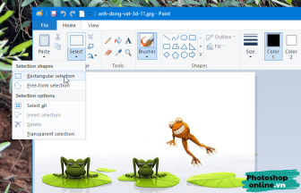 Hướng dẫn cắt ảnh bằng MS Paint